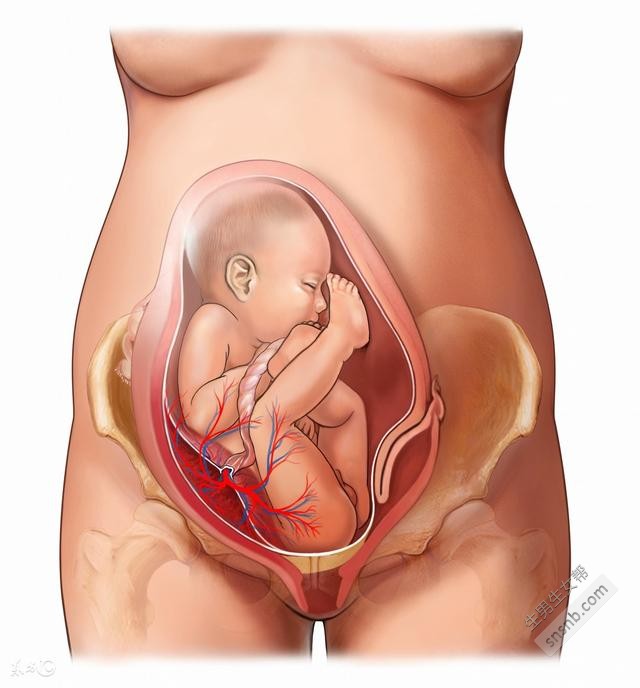 导致不孕不育的原因有很多，女生需要知道什么原因导致输卵管堵塞不孕？...