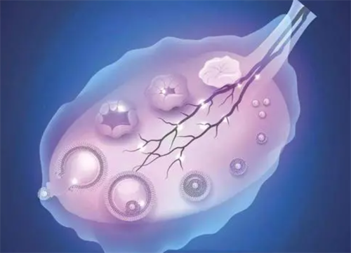广州49岁试管助孕：试管婴儿移植前可以进行性生活吗？试管婴儿移植前可以服用多西环素吗？